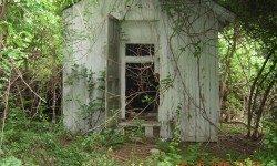 Outbuildings Prior to GFPS Cleanup 2006