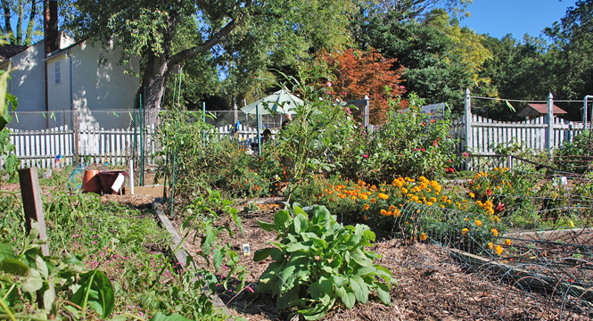 Goshen Farm The Sharing Garden