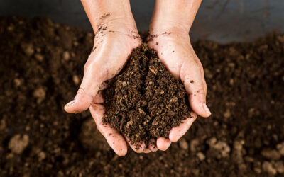 Predominant Soils of Goshen Farm