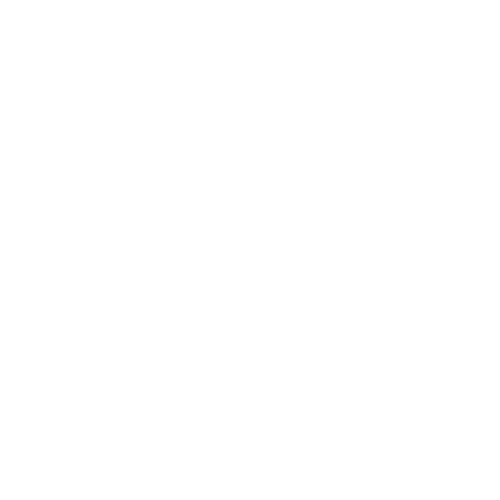 Icon - Megaphone (inverted)